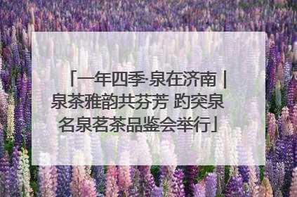一年四季·泉在济南｜泉茶雅韵共芬芳 趵突泉名泉茗茶品鉴会举行